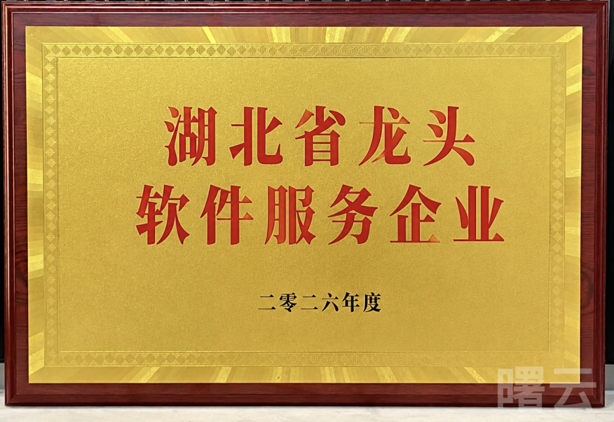 荣获湖北省《龙头软件服务企业》称号