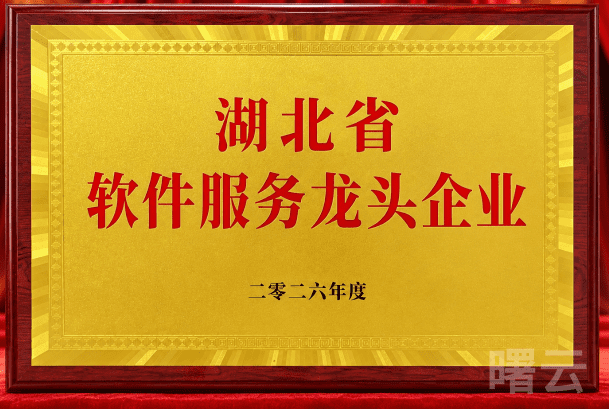 荣获湖北省《软件服务龙头企业》称号